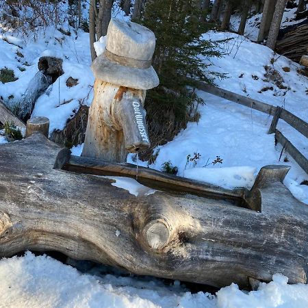 Ferienwohnung 4 Personen Alleinlage Am Wald Naehe Skigebiet Hochzeiger Jerzens Exterior foto